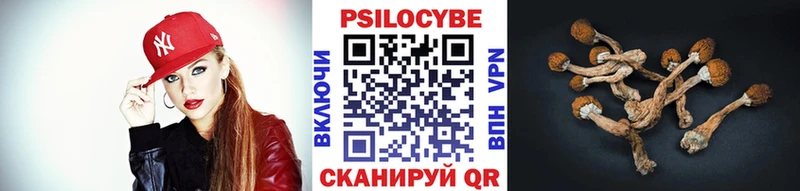 Галлюциногенные грибы MAGIC MUSHROOMS  купить  сайты  Гурьевск 